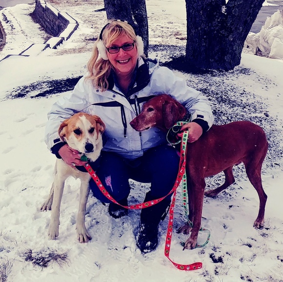 Meet your Posher, Nancy - Picture 1 of 1